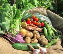 fruit veg bags